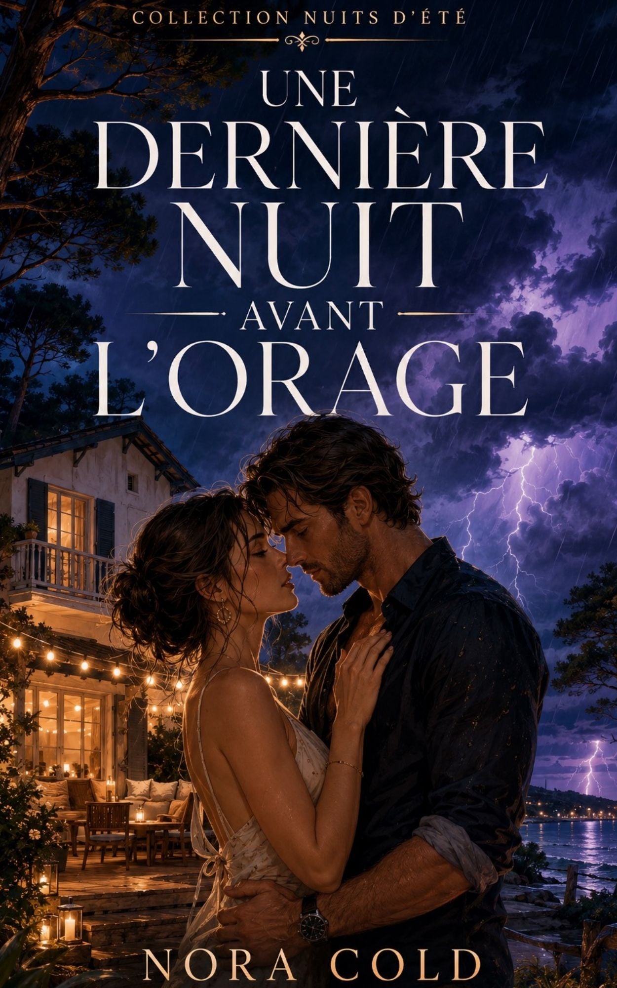 Une dernière nuit avant l'orage - Nora Cold