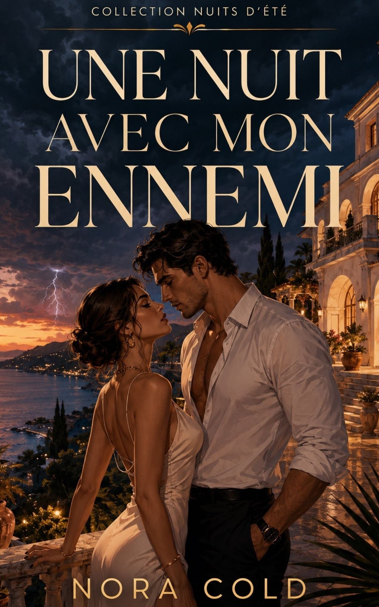 Une nuit avec mon ennemi - Nora Cold